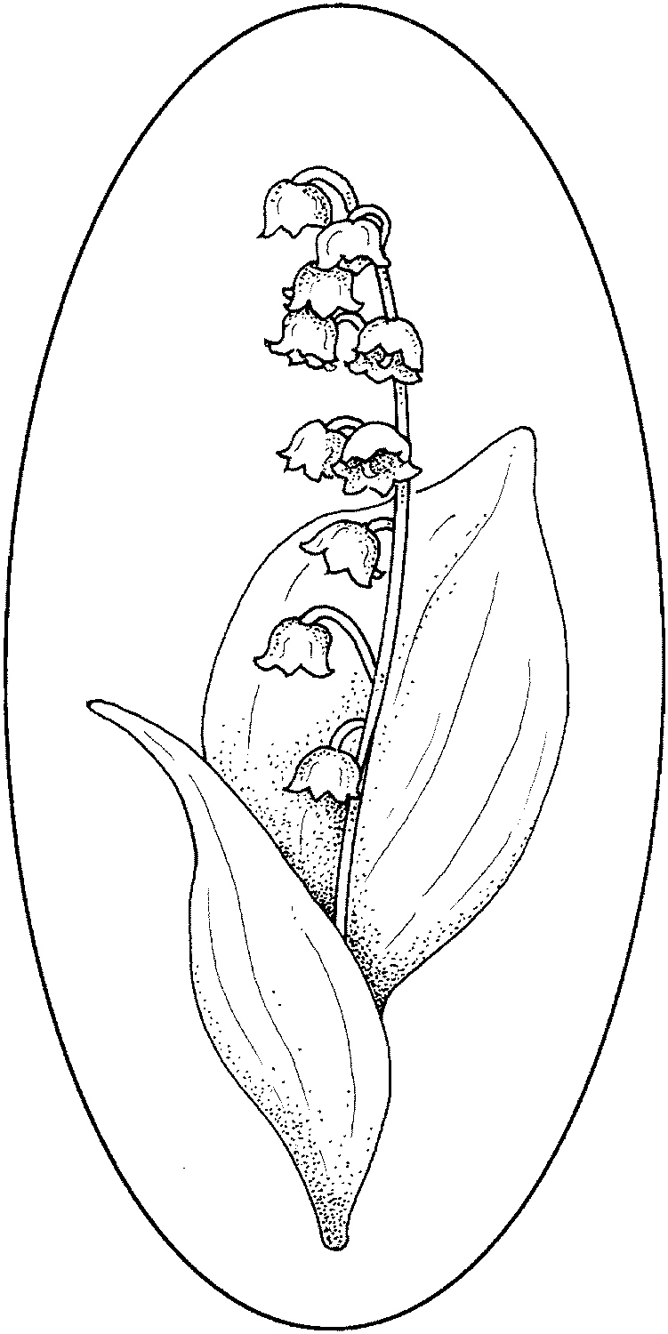 Coloriage Muguet De Main Fleur 1er Mai - Muguet 1er mai à imprimer